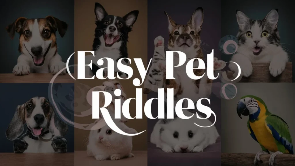 Easy Pet Riddles